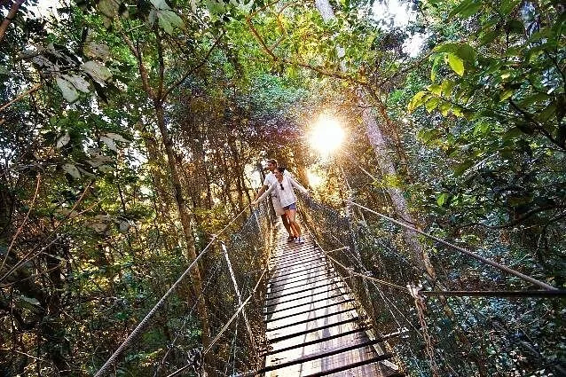 Una pareja caminando por un puente colgante en el dosel del bosque iluminado por el sol