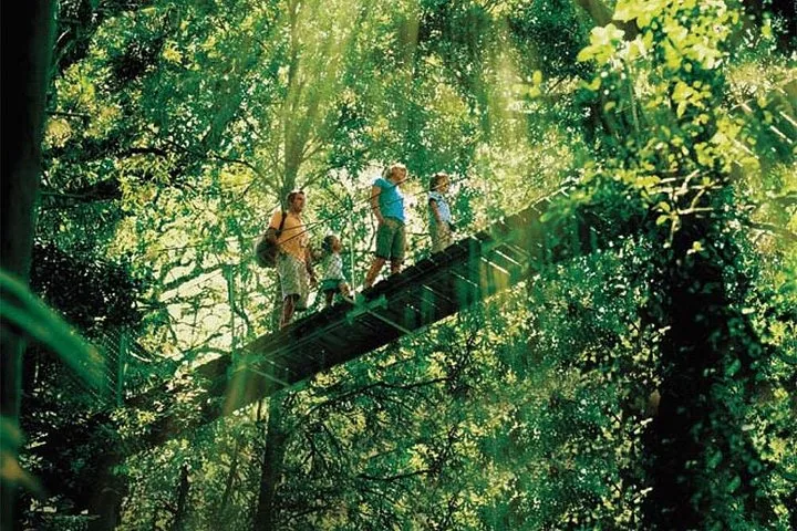 Una familia caminando por un puente colgante alto en un bosque soleado